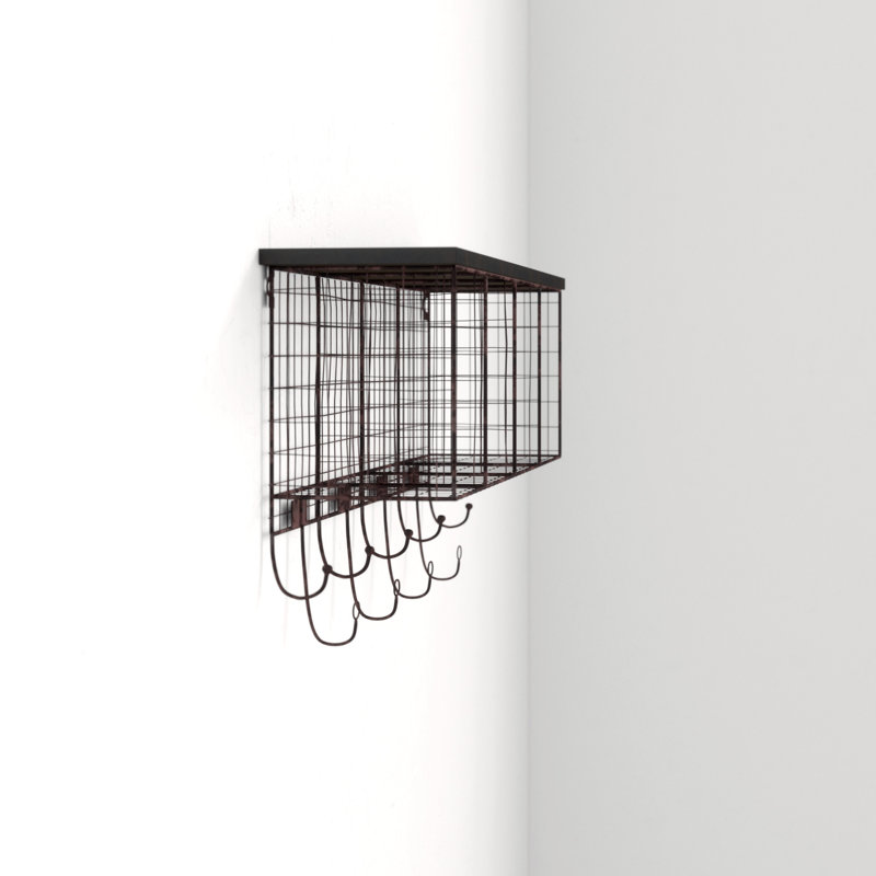 Mercury Row Hultgren Wall Mounted Coat Rack Reviews Wayfair
