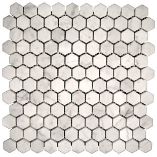 Carrara Marble Hexagon Tile Wayfair Marble Hexagon Mosaic Tile In Bianco Gioia Honed