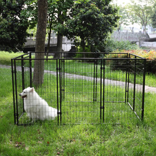 can dogs run through an invisible fence