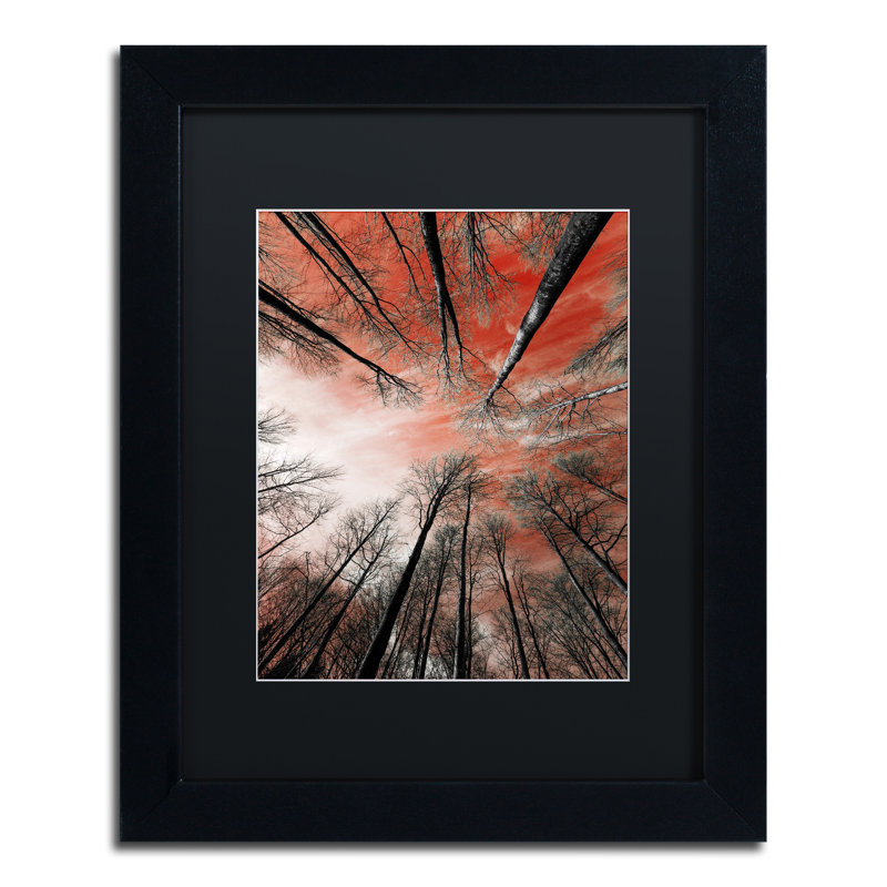 Trademark Art Unsteady By Philippe Sainte Laudy Framed Photographic Print Wayfair