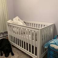 Wooster 3 In 1 Convertible Crib Reviews Birch Lane