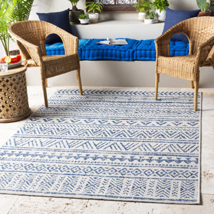 Wayfair | 9' x 12' Indoor & Outdoor Area Rugs You'll Love in 2022