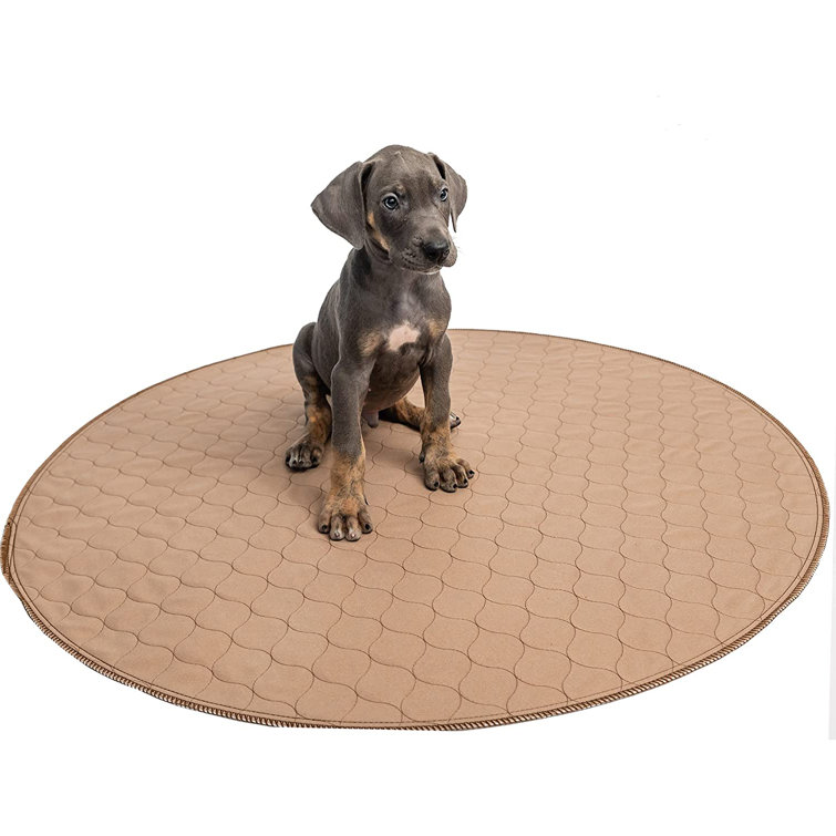 essentials puppy training pads