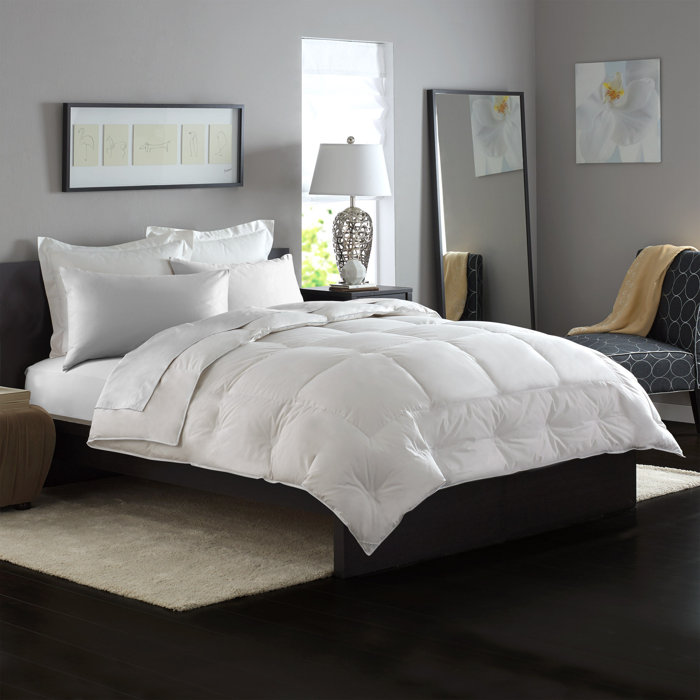 Pacific Coast Feather Allerrest Summer Down Comforter Wayfair