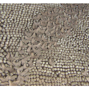 Sugar Skull Area Rug Wayfair Erfly Brown Sugar Area Rug