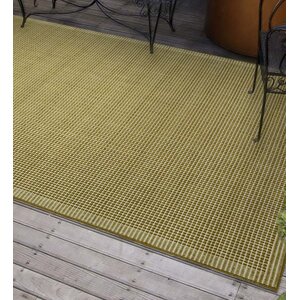 Solid Moss Indoor/Outdoor Area Rug