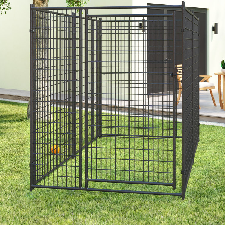 backyard training kennels