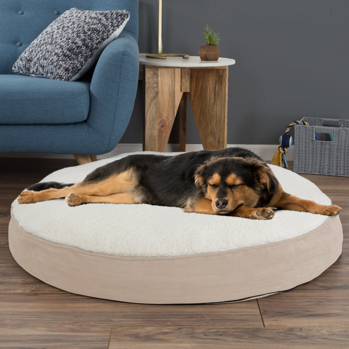 Deena Round Sherpa Memory Foam Pet Pillow Reviews Joss Main