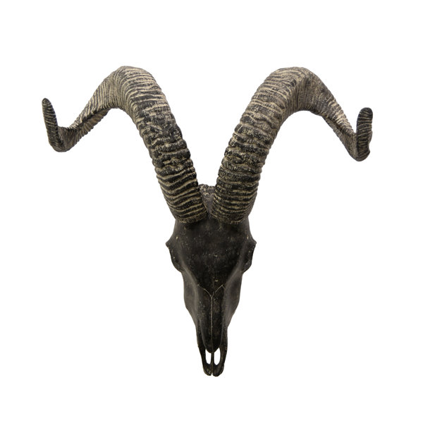 Animal Skull Decor Wayfair