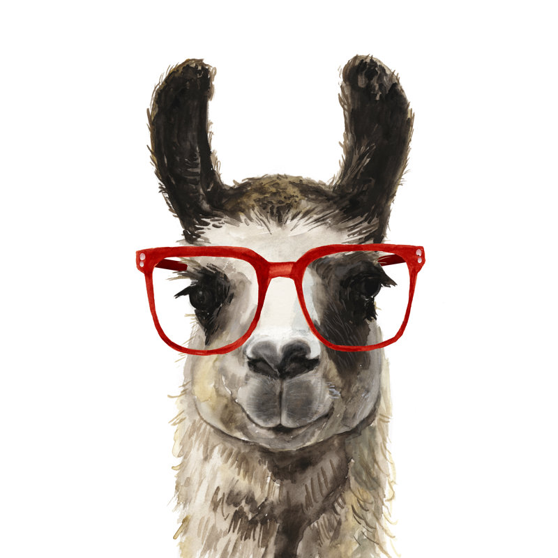 Latitude Run Hip Llama I Wrapped Canvas Painting Print Reviews