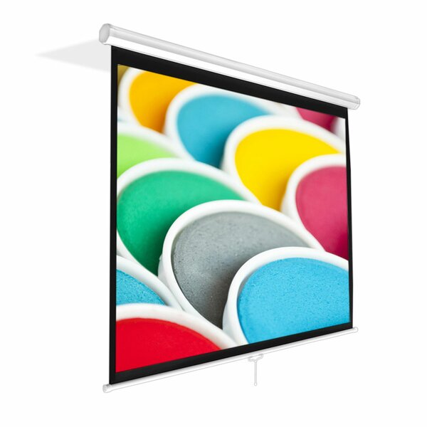 Pull Down Projector Screen Wayfair