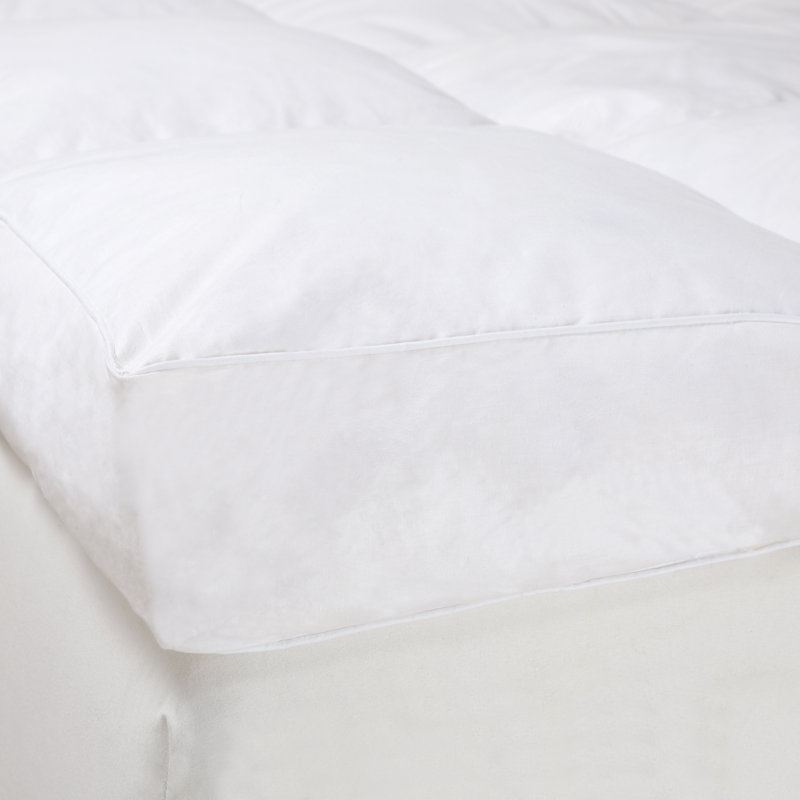 The Twillery Co Clevenger 4 Feathers Mattress Topper Reviews