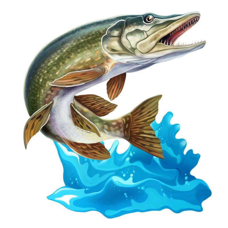 Longshore Tides Jumping Northern Pike Wall Decor Wayfair