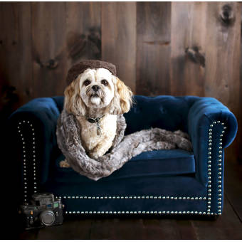 corrine dog sofa with cushion