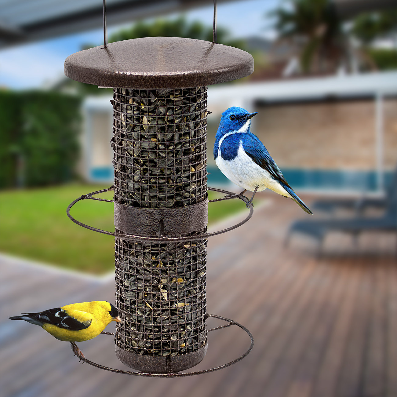 Sorbus Metal Tube Bird Feeder Wayfair Ca