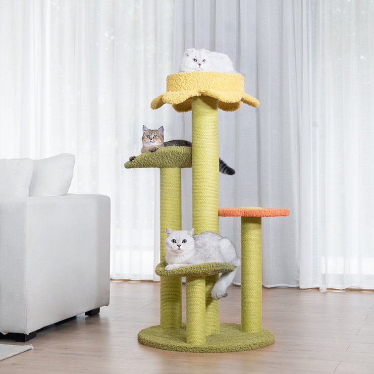 wayfair cat post