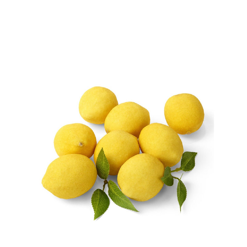 Serene Spaces Living 8 Of Pieces Leaves Decorative Meyer Lemons Sculpture Set Reviews Wayfair