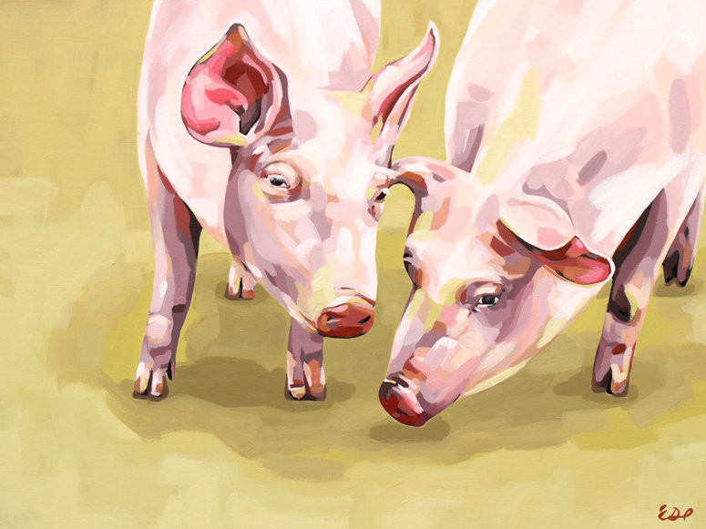 Greenbox Art Farm Piggies Close Up By Emily Drummond Print Of