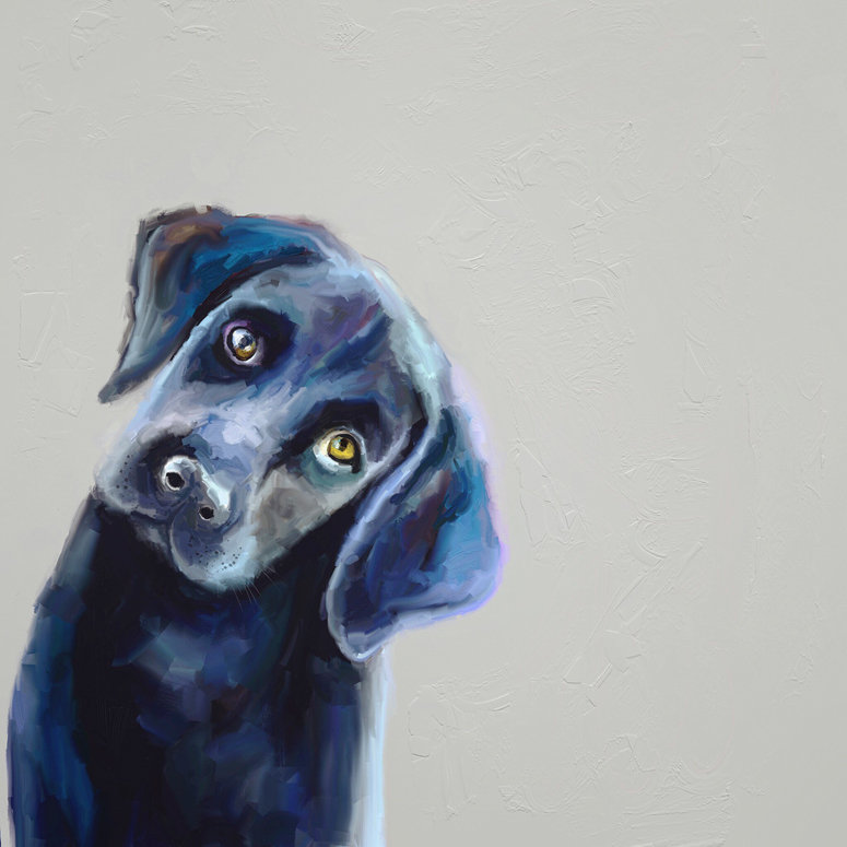 Winston Porter Best Friend Curious Black Lab Acrylic Painting Print Reviews Wayfair