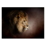 Lion Wall Art You Ll Love In 2020 Wayfair