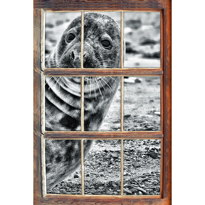 East Urban Home Dark Seal Relaxing On Pebble Beach Wall Sticker