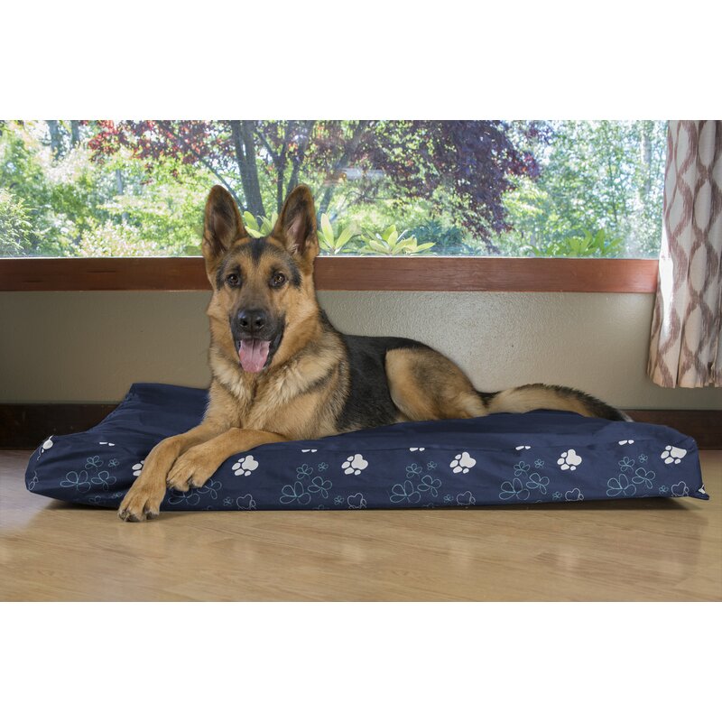 dog water bed review