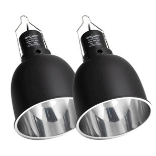 reptizoo reptile glass terrarium