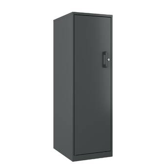 Rebrilliant Hendricks Personal Locking Storage Cabinet Reviews