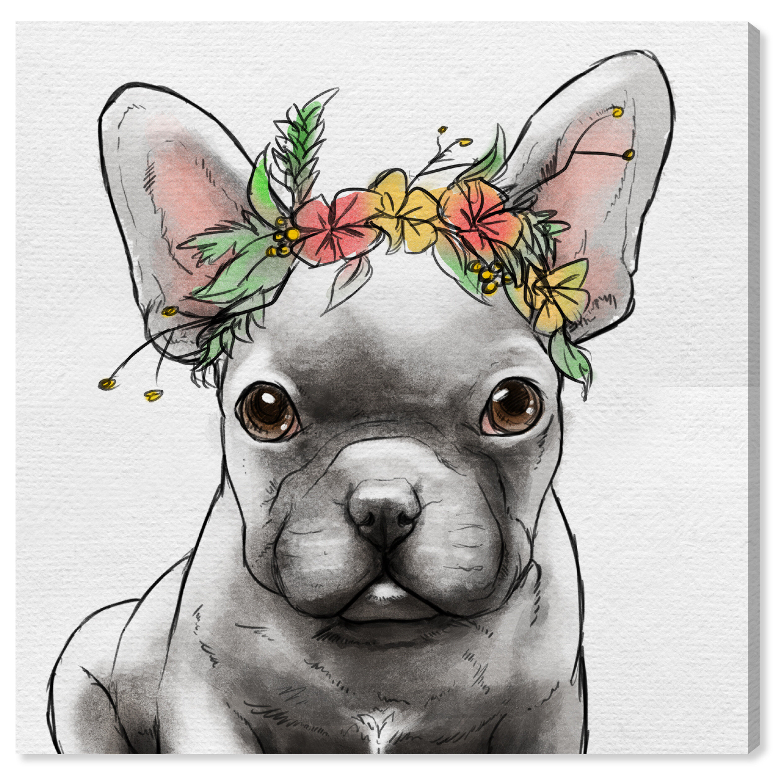 Discover Card Designs Frenchie