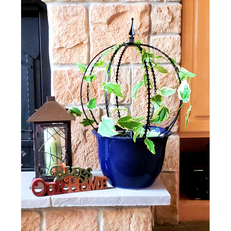 Scroll Trellis Decorative Plant Supports and Accessories