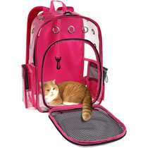 lightweight pet carrier