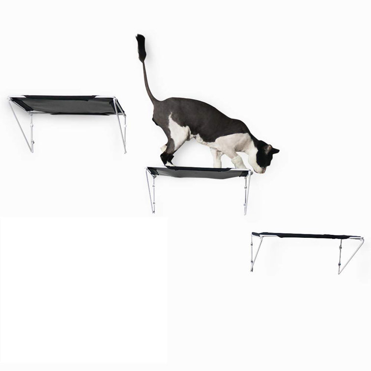 cat shelves amazon
