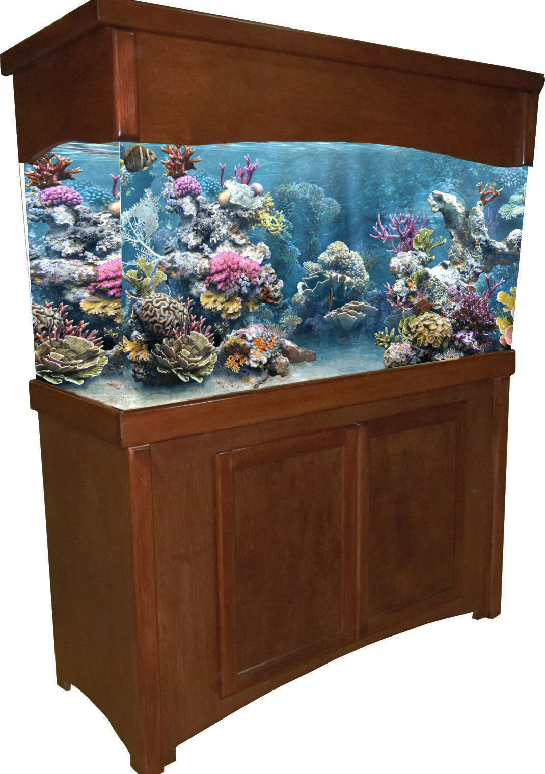 rj enterprises calypso birch
