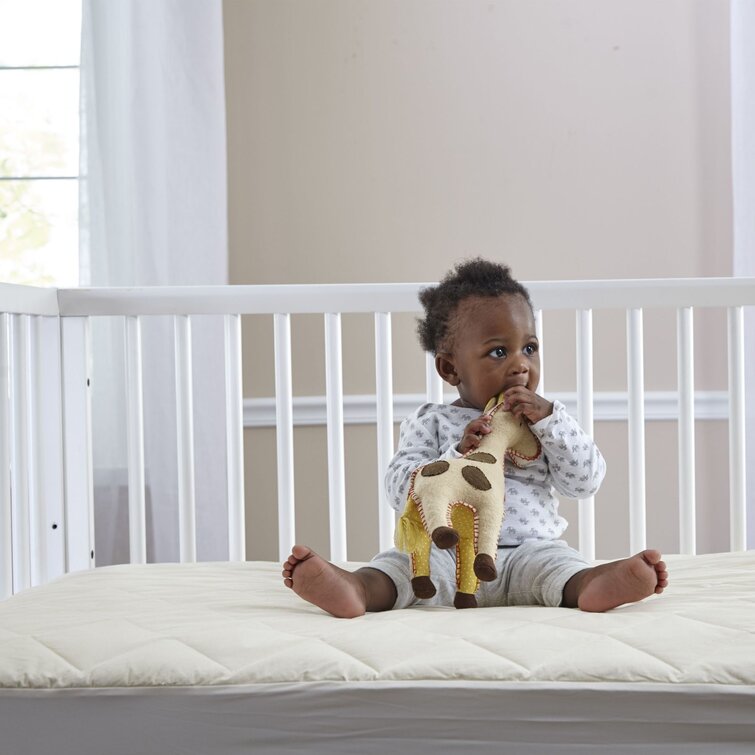 sealy mattress pad crib