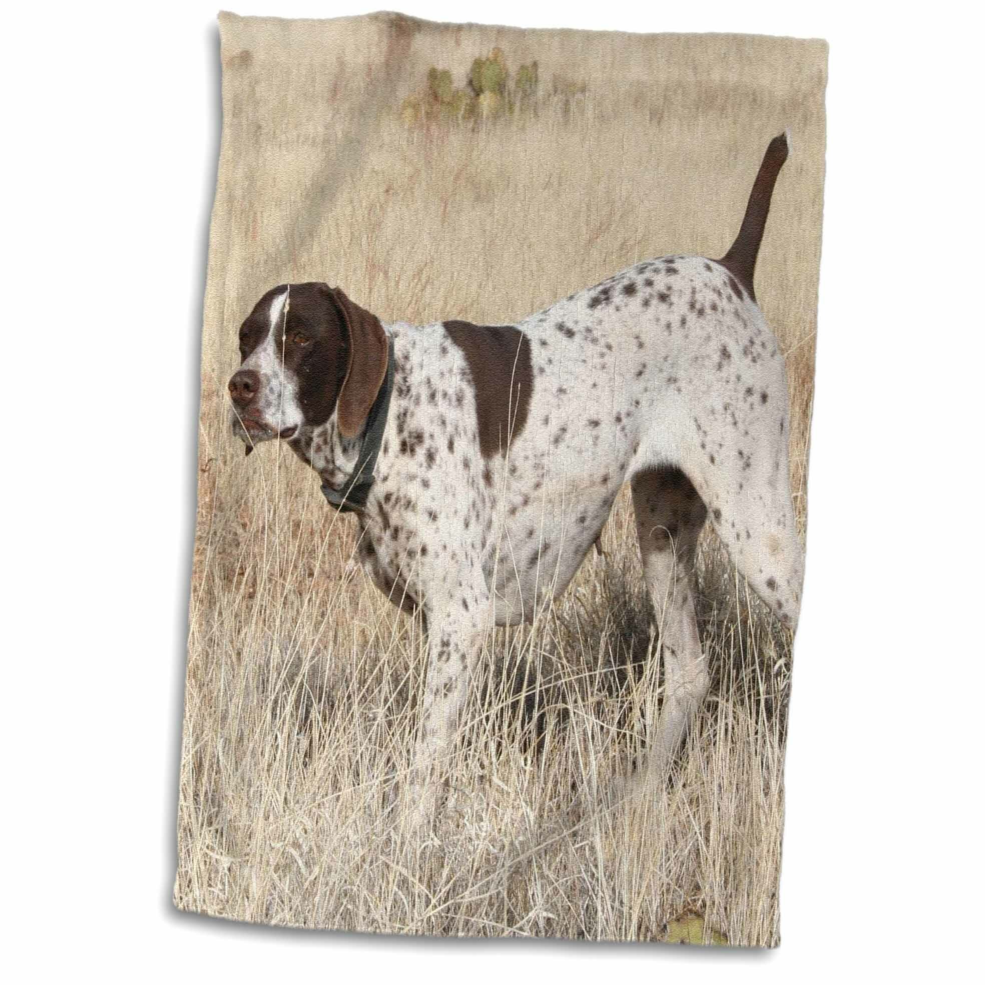 German Shorthaired Pointer Dog Breed Cotton Kitchen Dish Towel