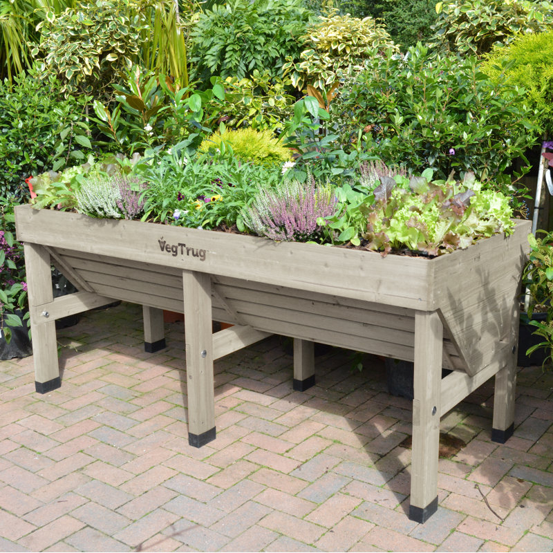 Vegtrug Wash Bed 72 W X 30 D Raised Garden 72 W X 30 D Reviews Wayfair Wayfair has a hidden section full of thousands of discounted gems. wash bed 72 w x 30 d raised garden 72 w x 30 d