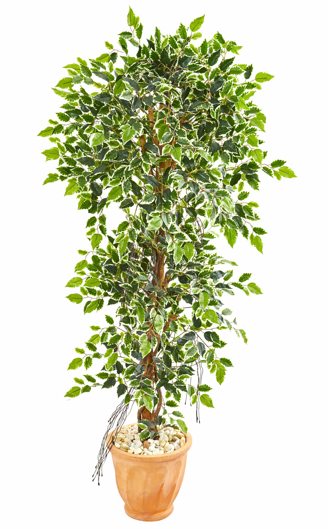 artificial ficus tree