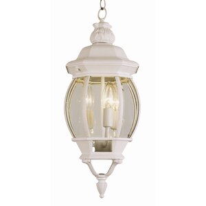 Nita 3-Light Outdoor Hanging Lantern