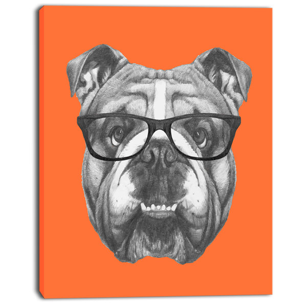 bulldog with glasses