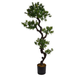 Tall Indoor Trees Wayfair Tall Floor Yucca Tree In Planter