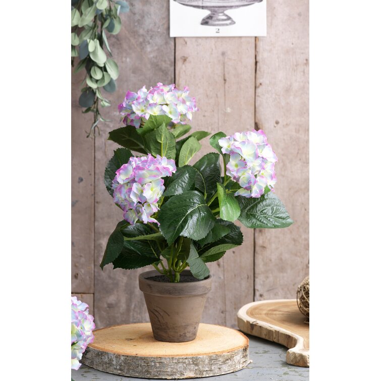 Die Saisontruhe Kunstblume Hortensie Im Topf Wayfair De