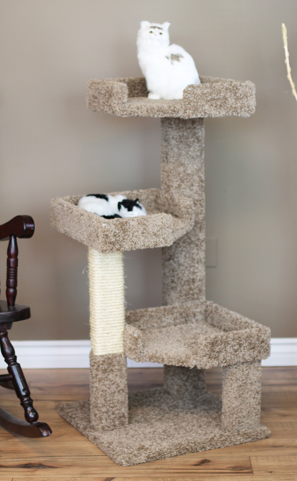 download the new for ios Cat Condo