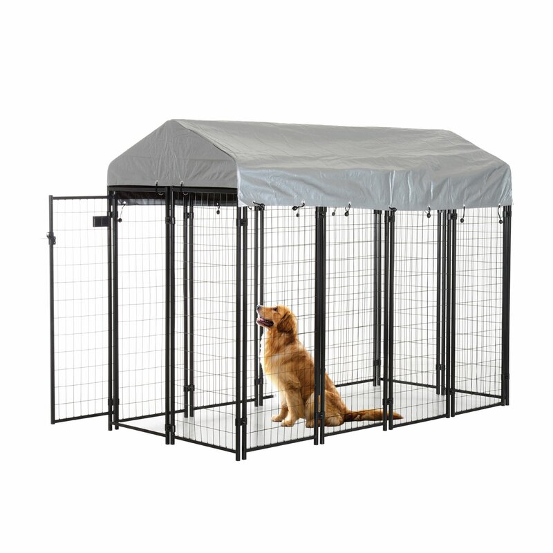 outdoor covered dog runs