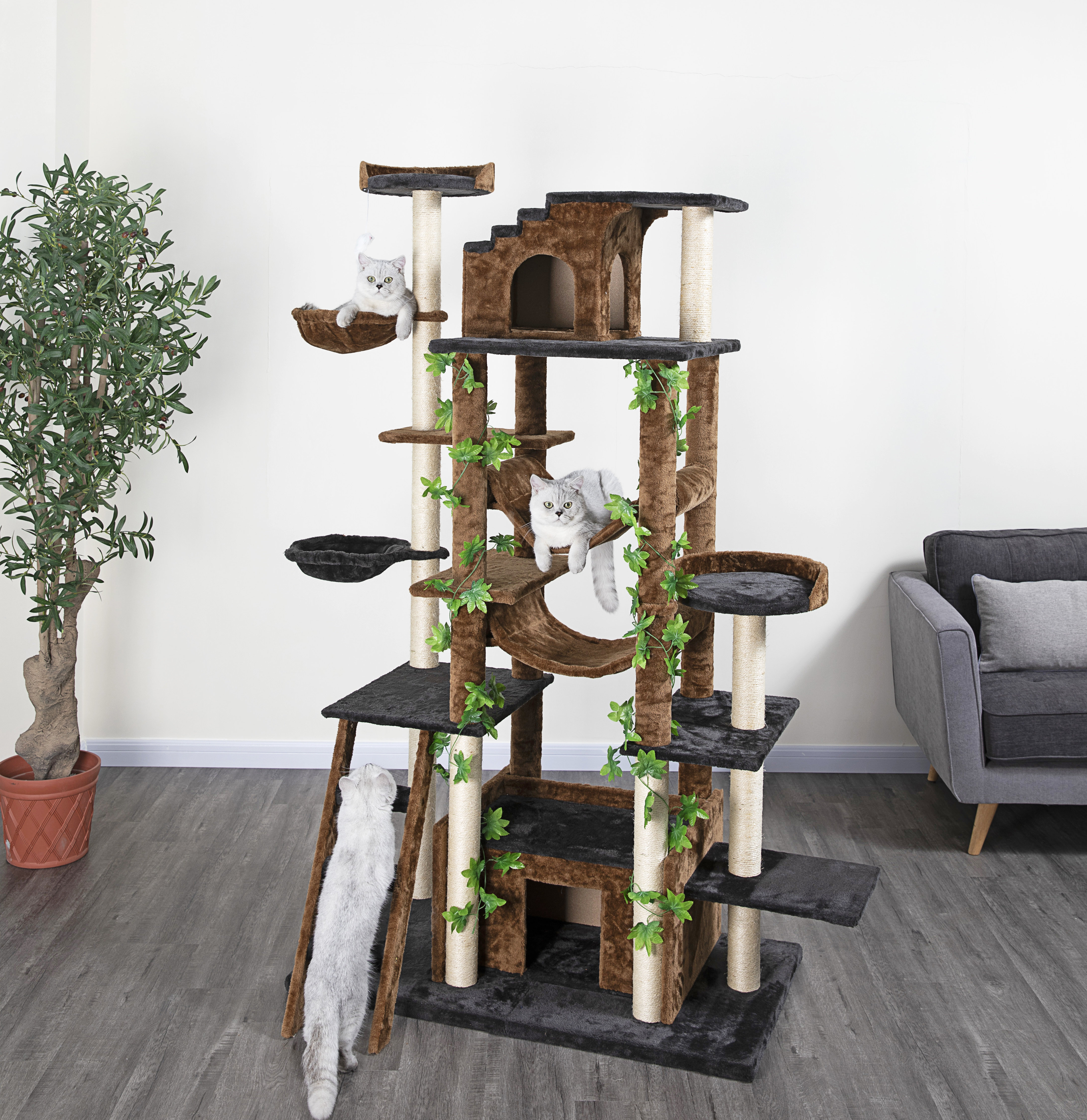 free cat tree near me