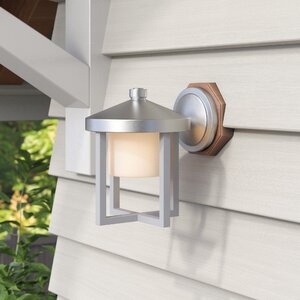 Three Rivers 1-Light Outdoor Wall Lantern