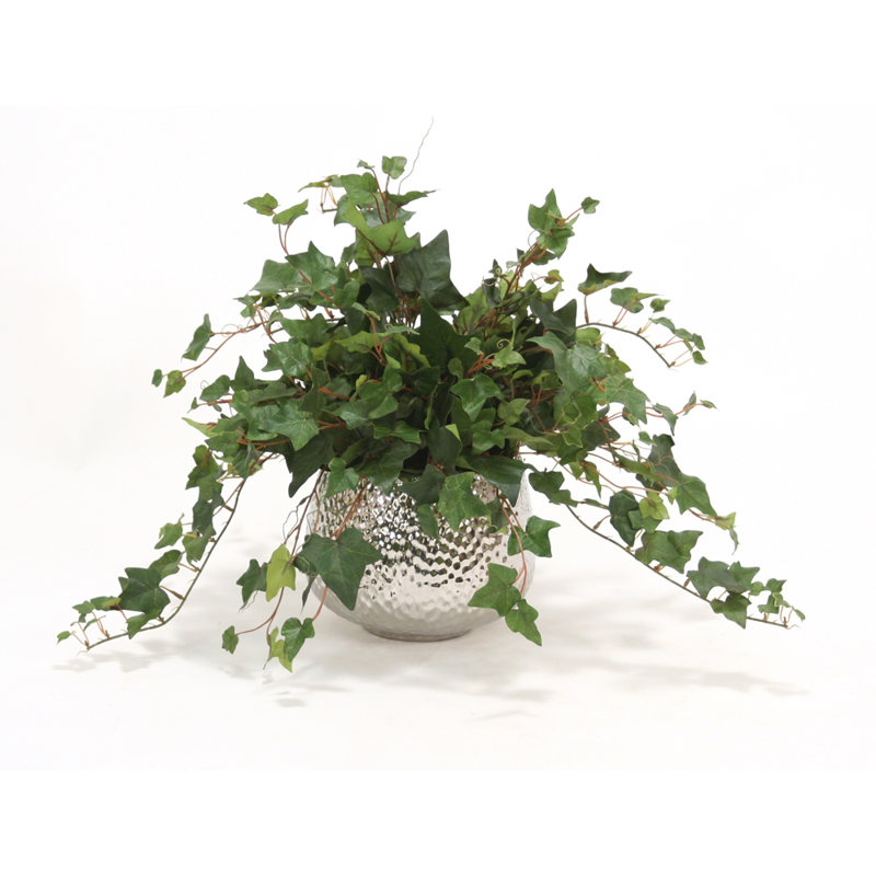 Distinctive Designs Mountain Ivy Desk Top Plant in Pot