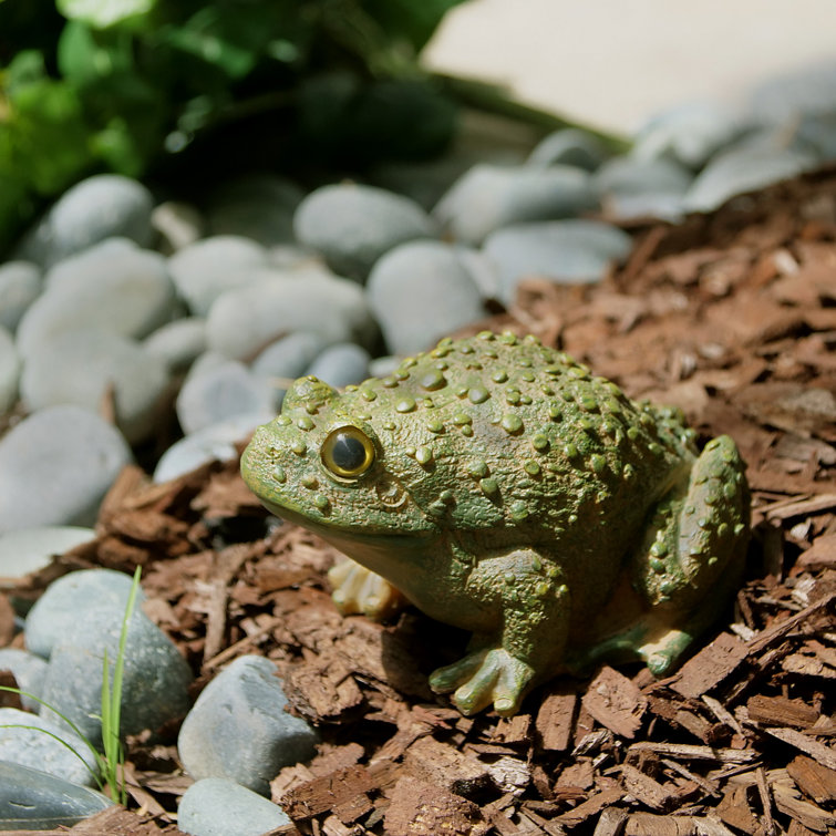 August Grove® Ridgway Frog Leaping Garden Statue & Reviews Wayfair.ca