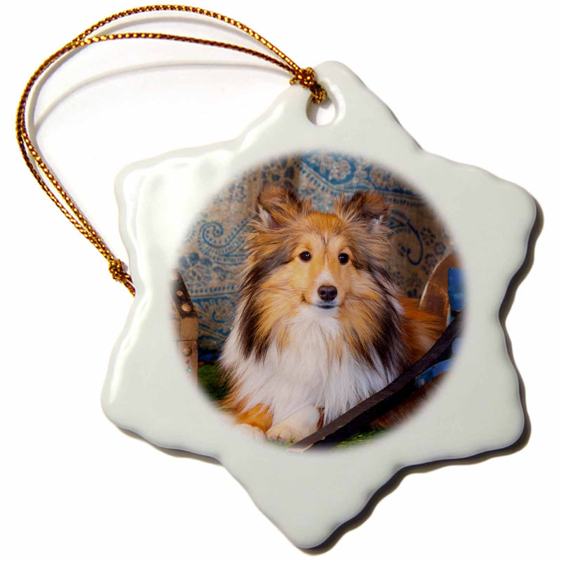 The Holiday Aisle Shetland Sheepdog Lying By A Wooden Wagon Mr Snowflake Holiday Shaped Ornament Wayfair