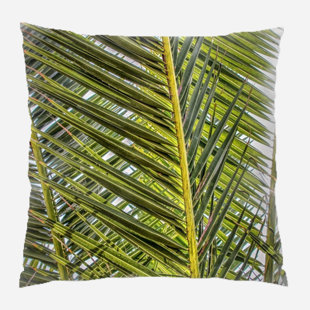 Palm Frond Pillow Wayfair
