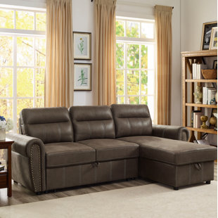 Mccreight Reversible Sleeper Sectional by Red Barrel Studio Cheap